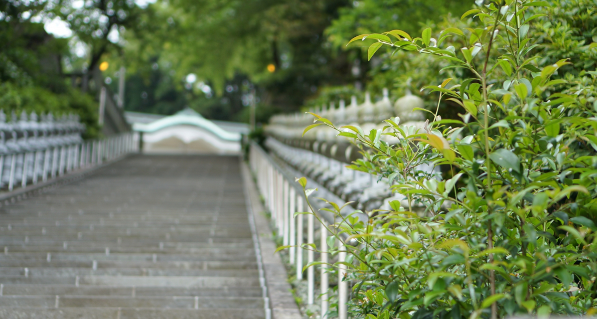 京都おすすめ避暑地5選 親子連れで夏でも涼しいスポットはココ 神さま仏さまに会いに行く